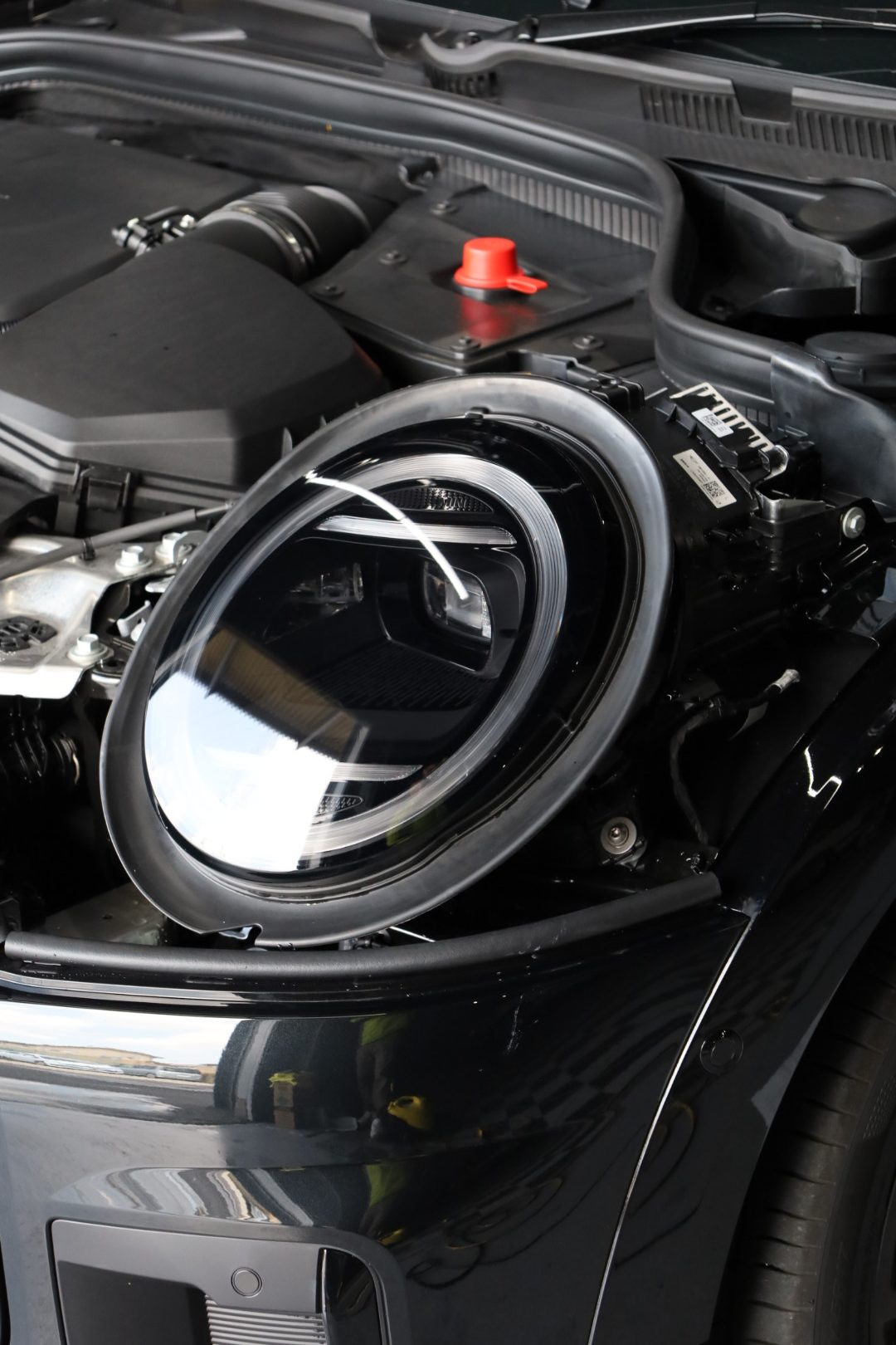 MINI JOHN COOPER WORKS／PPF STEK DYNOcloud